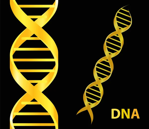 Icono del ADN de oro. Ilustración vectorial sobre fondo negro — Vector de stock