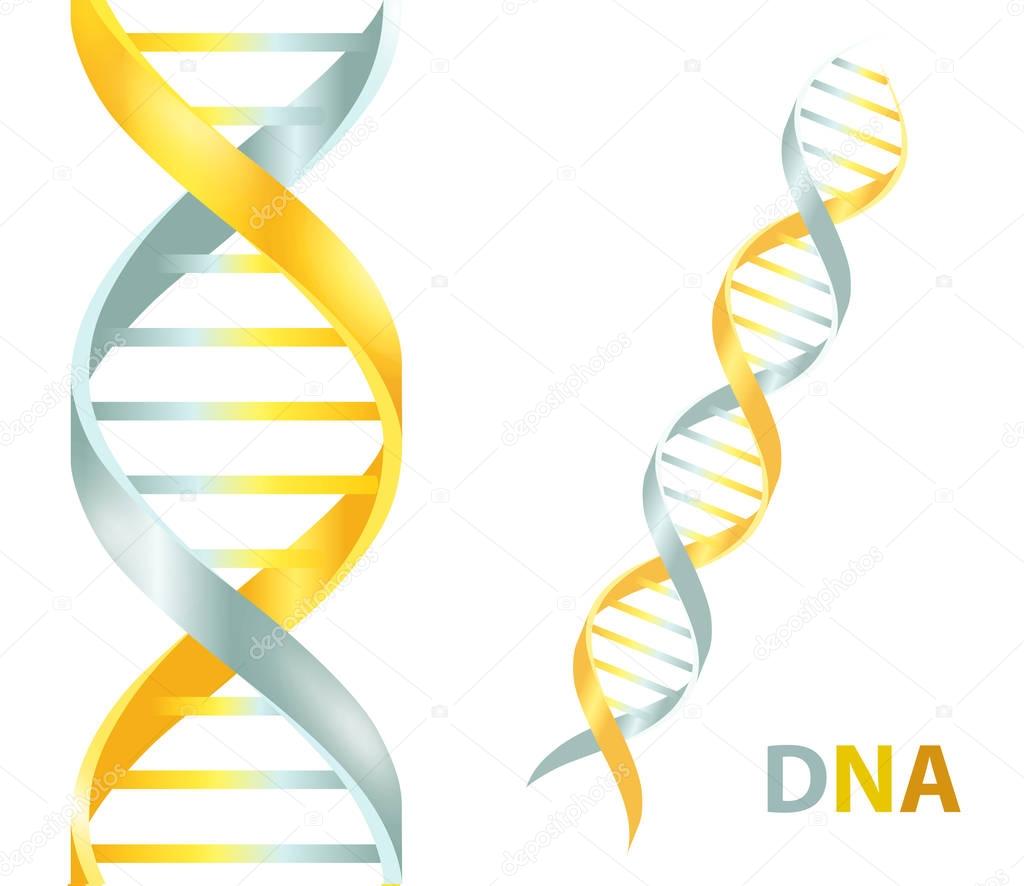 Gold and silver Dna icon. Vector illustration on white background