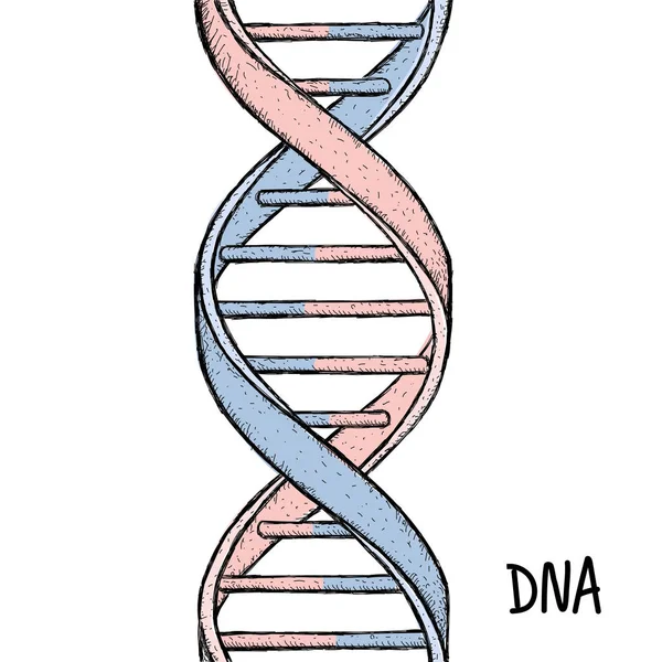 Zlaté Dna. DNA symbol. Symbol šroubovice DNA. Gene ikona. — Stockový vektor