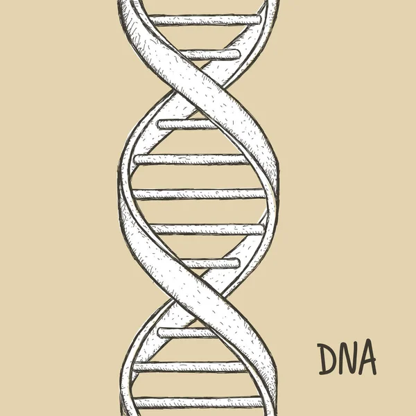 Guld Dna. DNA-symbol. DNA-helix symbol. Gen-ikonen. — Stock vektor