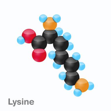 Molecule of Lysine, Lys, an amino acid used in the biosynthesis of proteins clipart