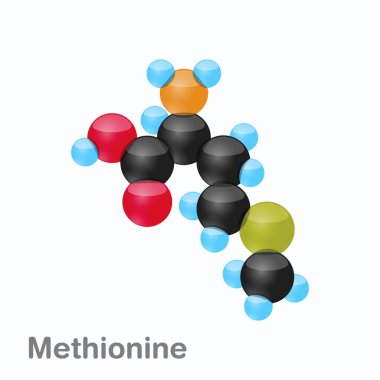 Molecule of Methionine, Met, an amino acid used in the biosynthesis of proteins clipart