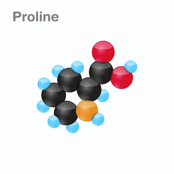 Molécula de Proline, Pro, un aminoácido utilizado en la biosíntesis de proteínas — Vector de stock