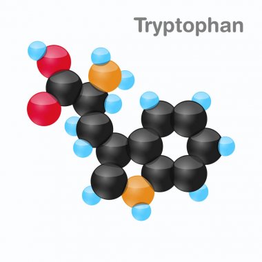 Molecule of Tryptophan, Trp, an amino acid used in the biosynthesis of proteins clipart