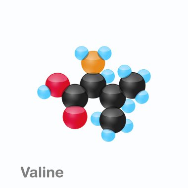 Molecule of Valine, Val, an amino acid used in the biosynthesis of proteins clipart
