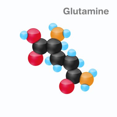 Molecule of Glutamine, Gln, an amino acid used in the biosynthesis of proteins clipart