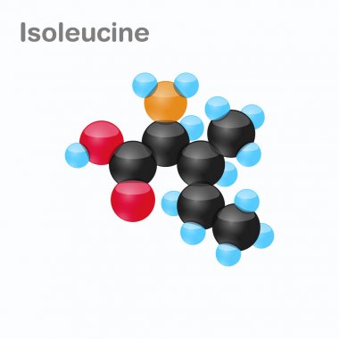 Molecule of Isoleucine, Ile, an amino acid used in the biosynthesis of proteins clipart