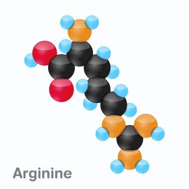 Arginin, Arg, protein biyosentezi içinde kullanılan bir amino asit molekülünün