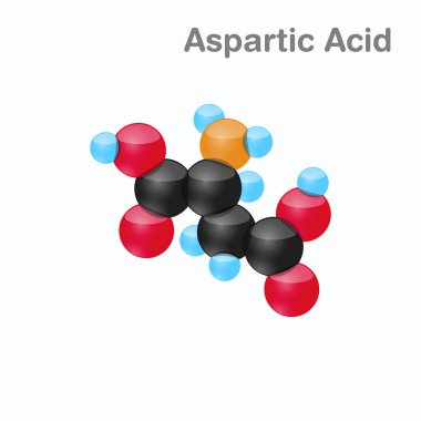 Aspartik asit, Asp, protein biyosentezi içinde kullanılan bir amino asit molekülünün