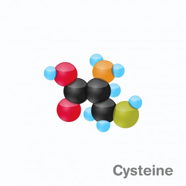 Molecule of Cysteine, Cys, an amino acid used in the biosynthesis of proteins clipart