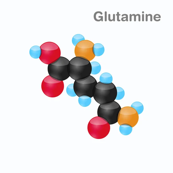 Molécula de Glutamina, Gln, un aminoácido utilizado en la biosíntesis de proteínas — Vector de stock