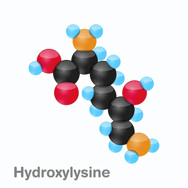 Molécula de Hydroxylysine, Hyl, un aminoácido usado en la biosíntesis de proteínas — Vector de stock