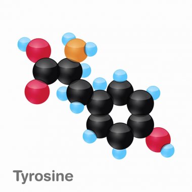 Tirozin, Tyr, protein biyosentezi içinde kullanılan bir amino asit molekülünün