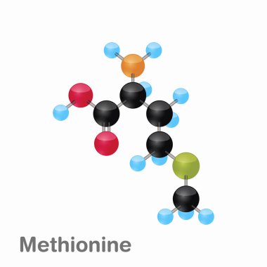 Moleküler omposition ve metionin, yapısını, en iyi kitap ve eğitim için bir araya geldi