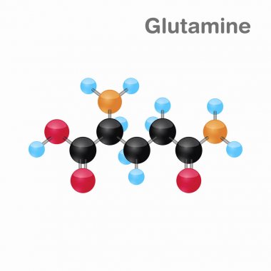 Molecular omposition and structure of Glutamine, Gln, best for books and education clipart