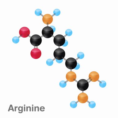 Moleküler omposition ve arginin, Arg, yapısını en iyi kitaplar ve eğitim için