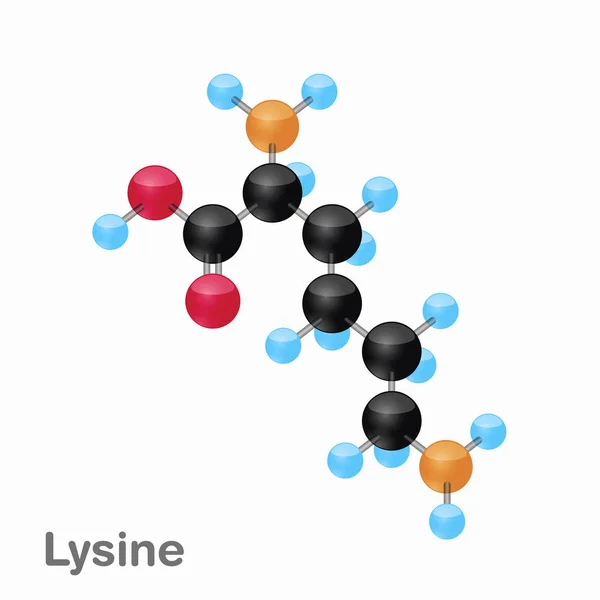 Composición molecular y estructura de Lisina, Lys, mejor para libros y educación — Vector de stock