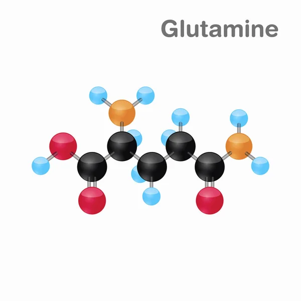 Moleküler omposition ve glutamin, Gln, yapısını en iyi kitaplar ve eğitim için