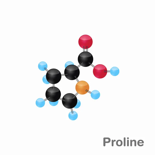 Composición molecular y estructura de Proline, Pro, mejor para libros y educación — Vector de stock