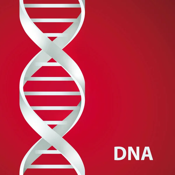 Zilveren Dna Dna. 3D-stile, vectorillustratie, geïsoleerd op rode achtergrond — Stockvector