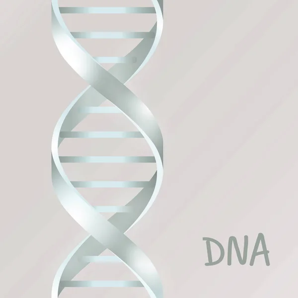 Silver Dna Dna. 3D stile, vektorillustration, isolerade på grå bakgrund — Stock vektor