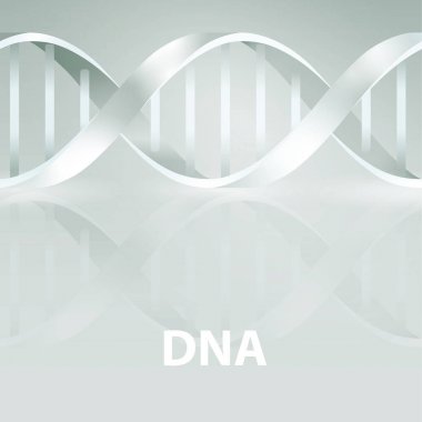 DNA'sı. 3D stile, gri arka plan üzerinde vektör çizim