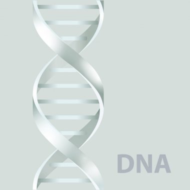 DNA'sı. 3D stile, beyaz arka plan üzerinde vektör çizim