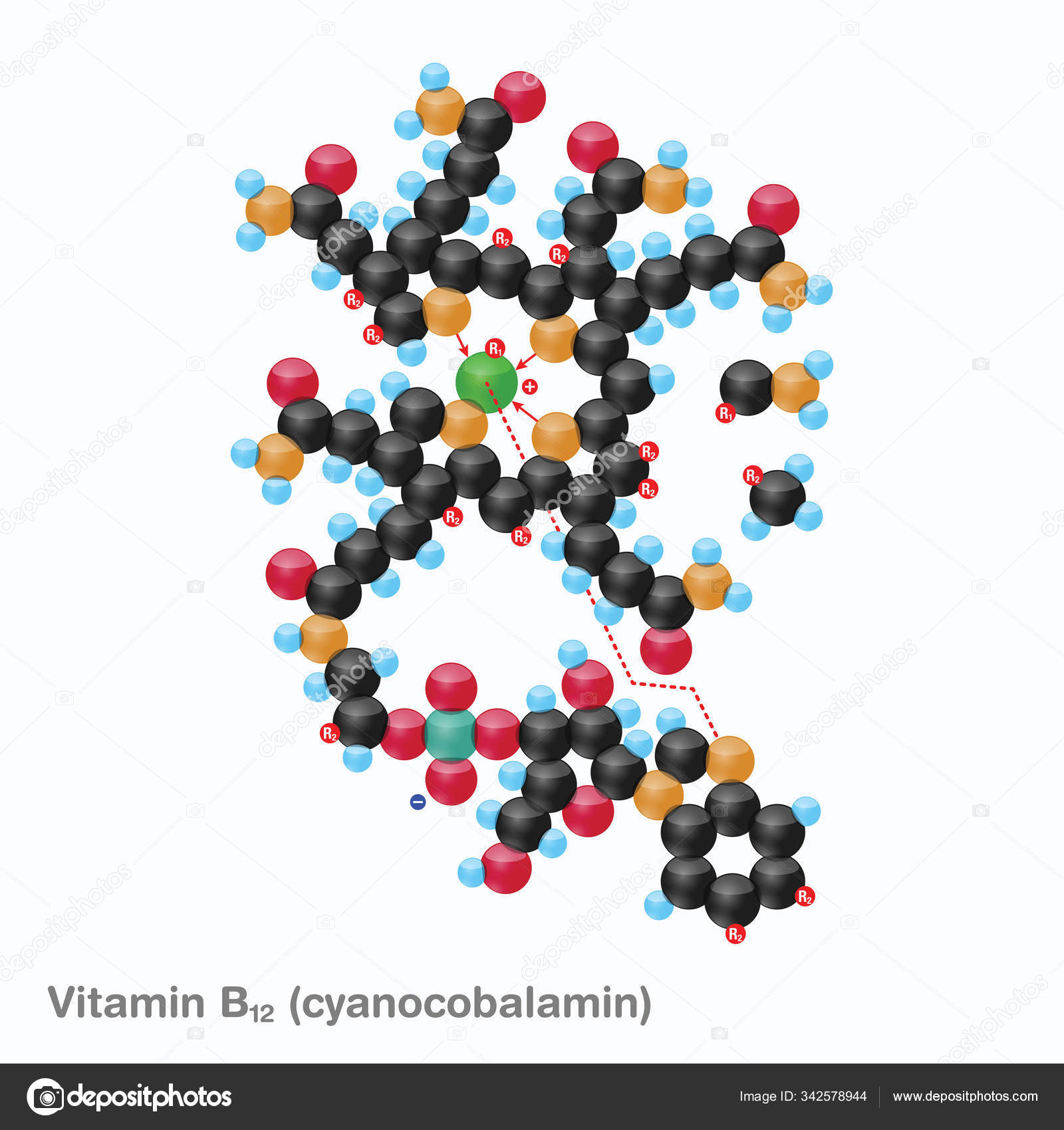 Vitamin B12 (cyanocobalamin) Sphere Stock Vector Image by ©ira