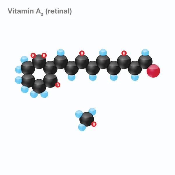 Vitamin-a2-Bereich (Netzhaut) — Stockvektor