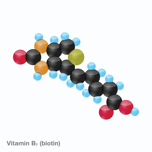 Vitamina B7 (biotina) Sfera — Vettoriale Stock