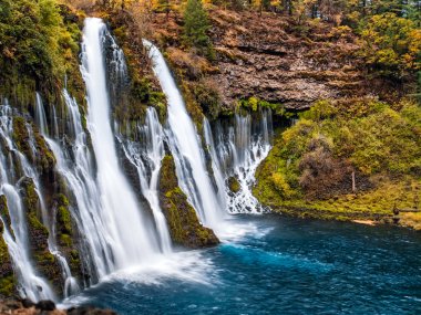 Pitoresk şelale çağlayan Güz, yosun ve sarı çalılar tarafından çevrili. Ekim ayında, Mcarthur-Burney Falls Memorial State Park, Shasta İlçesi, Kuzey Kaliforniya alınan atış.
