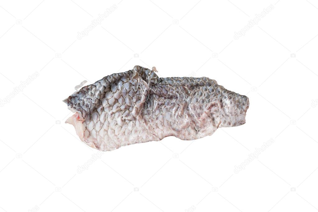 Tilapia del Nilo espina de pescado sobre fondo blanco 2024