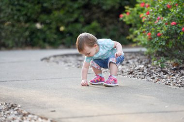 taş toplama bir park oynayan çocuk