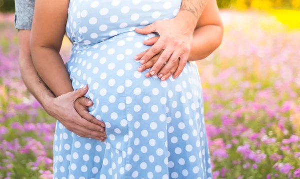 Schwangere Mit Bauch Einem Kleid Einem Lila Blumenfeld Posing Für — Stockfoto