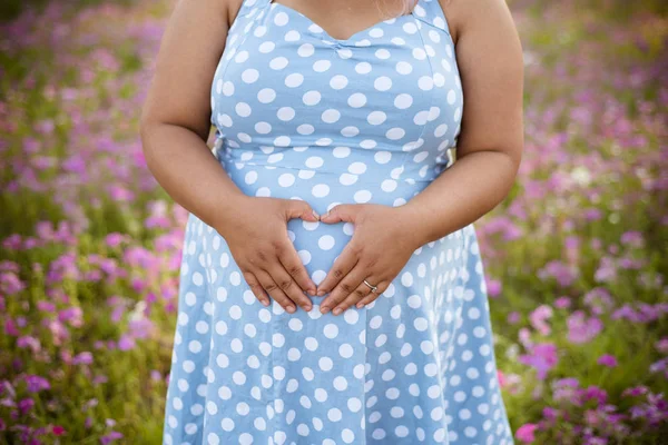 孕妇在紫色的花地里抱着腹部穿的衣服 在户外做产妇的姿势 健康美丽的怀孕和母亲 — 图库照片