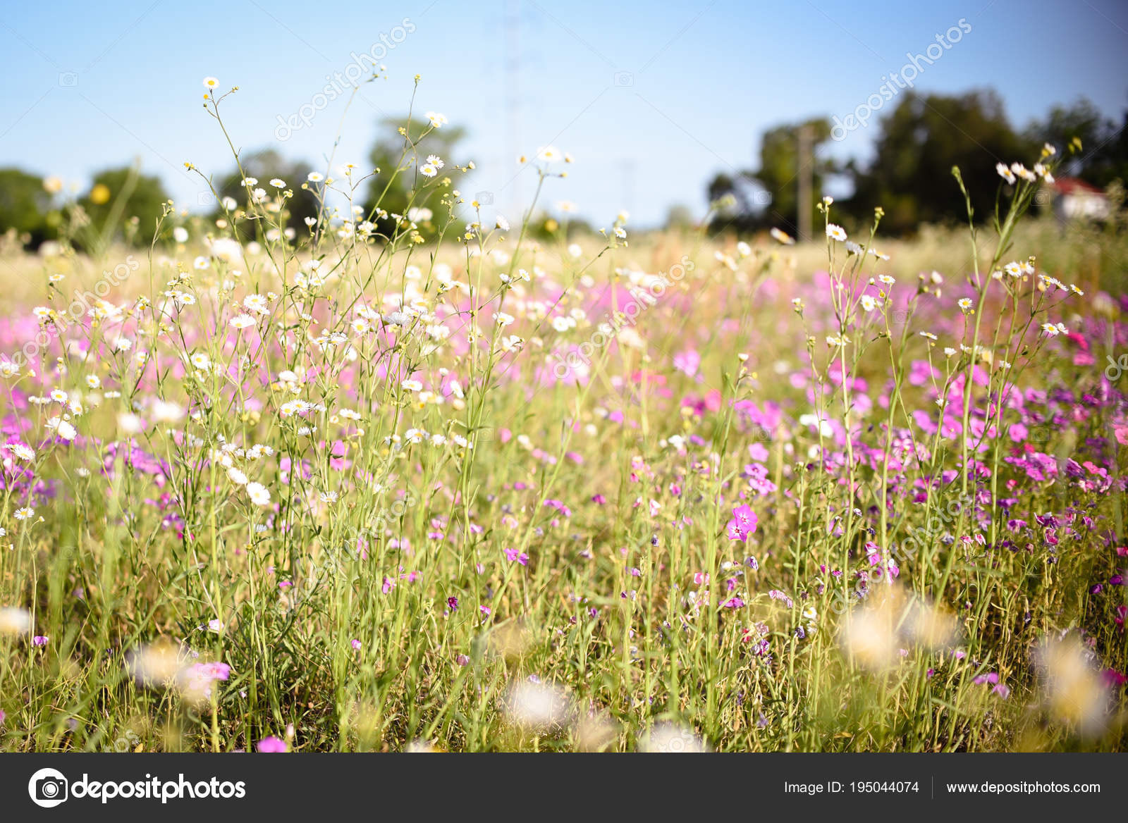 Depositphotos