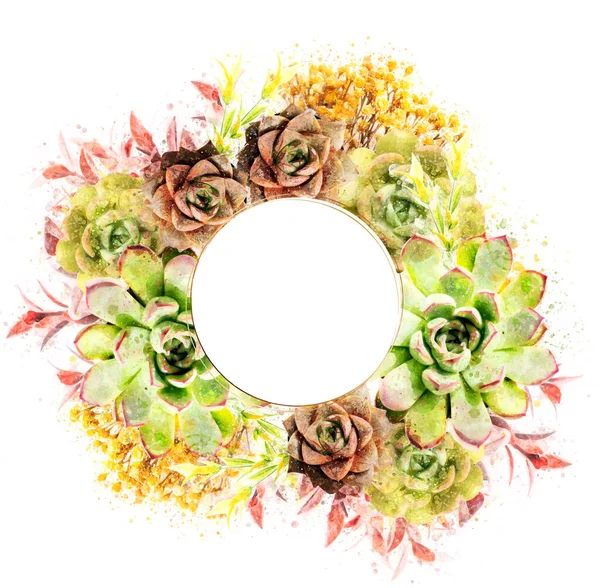 Stile Acquerello Floreale Succulente Colorate Accenti Floreali — Foto Stock