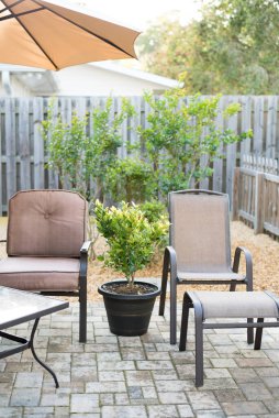 Bahçesinde çiçek açan çalılar ve kaya bahçesi olan teras sandalyeleri.