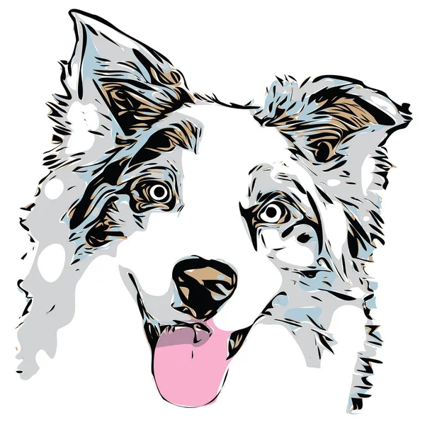 Australian Shepherd Hond Hoofd Grafisch Schets Portret Met Een Paar — Stockvector