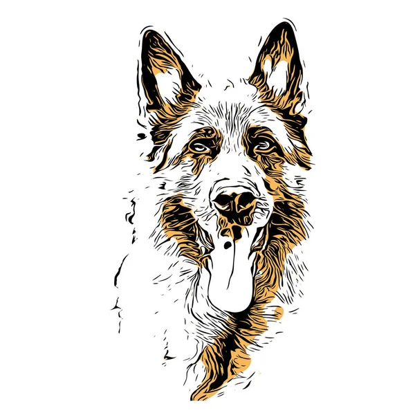 Diseno De Perroストックベクター ロイヤリティフリーdiseno De Perroイラスト ページ 110 Depositphotos