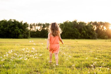 Gün batımında tarlada beyaz çiçekler ve çimlerin üzerinde turuncu tulumba giymiş küçük kız..