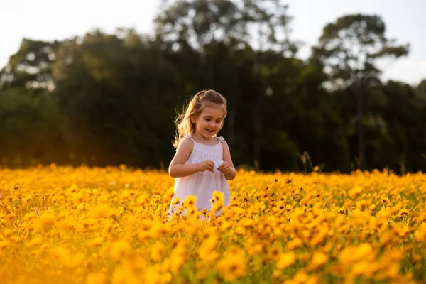 Little toddler girl in a white dress walking and picking flowers in a black eye Susan flower field. Child in a flower meadow at sunset with yellow flowers.