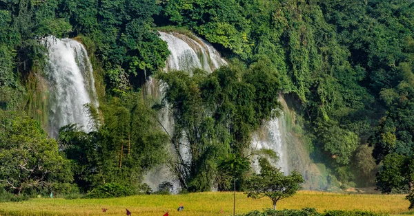 Ban Gioc - Detian waterfallBan Gioc Waterfall is the most magnificent waterfall in Vietnam, located in Dam Thuy Commune, Trung Khanh District, Cao Bang. Ban Gioc Waterfall consists of two parts, the main part of the border between Vietnam and China,