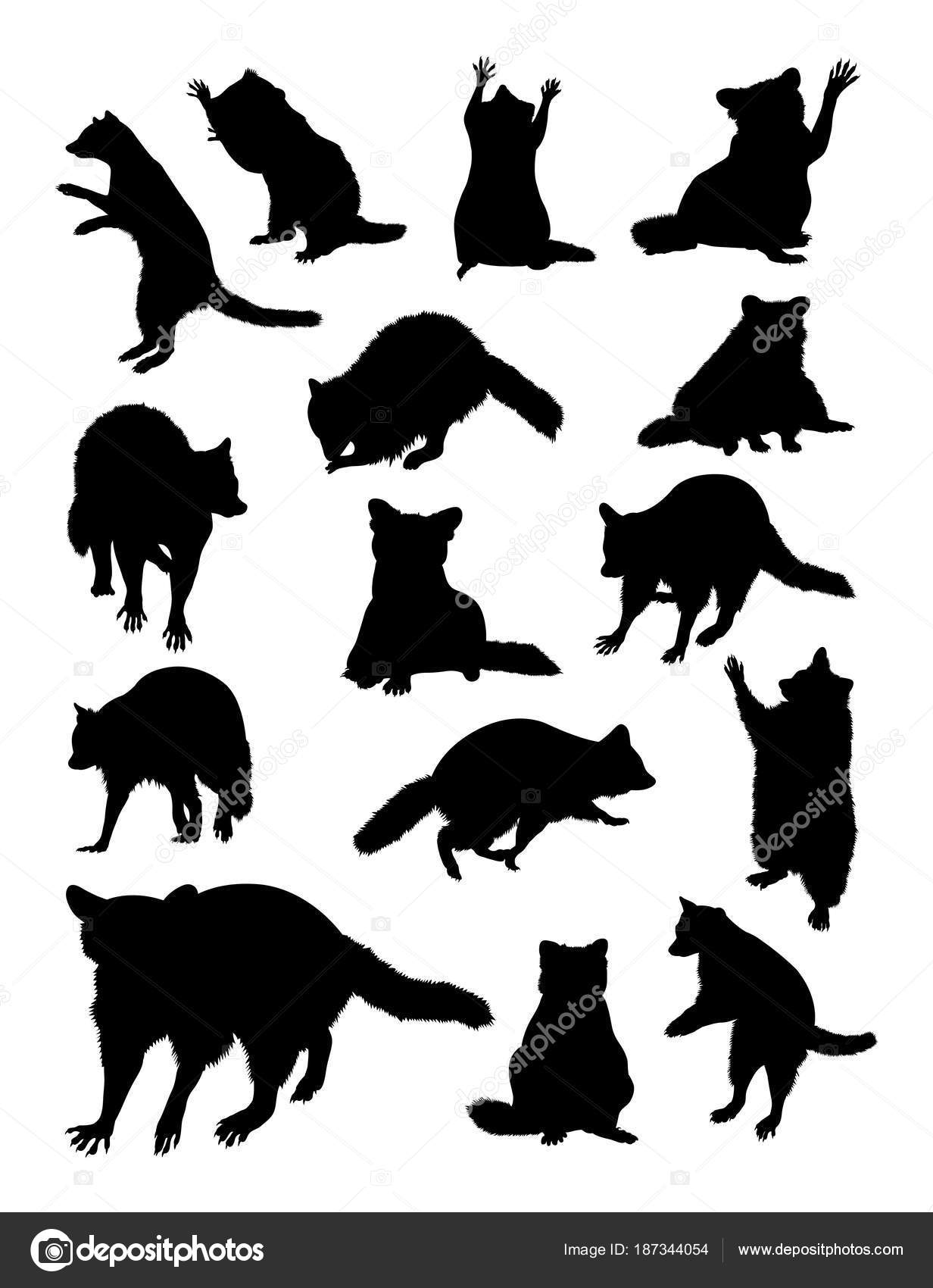 Download Raccoon Detail Silhouette Vector Illustration Good Use ...