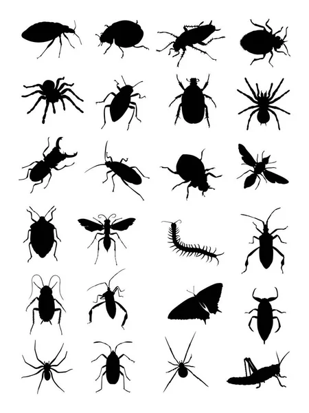 Bugs Detail Silhouette Vector Illustration Good Use Symbol Logo Web — Stock Vector