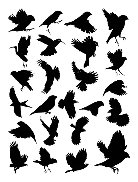 Птицы Детализируют Силуэт Вектор Иллюстрация Хорошее Использование Символа Логотипа Веб — стоковый вектор