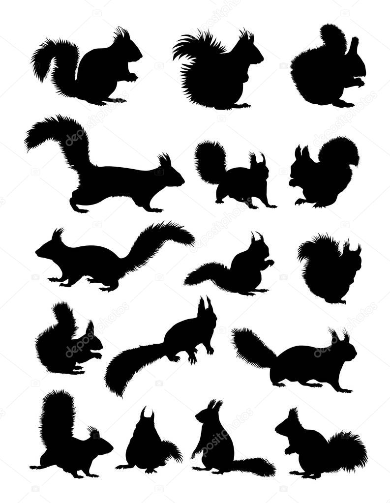 Squirrel detail silhouette. Vector, illustration. Good use for symbol, logo, web icon, mascot, sign, or any design you want.