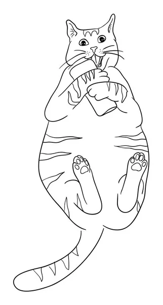 かわいい猫のライン アート シンボル Web アイコン マスコット または任意のデザインの良い使用 — ストックベクタ