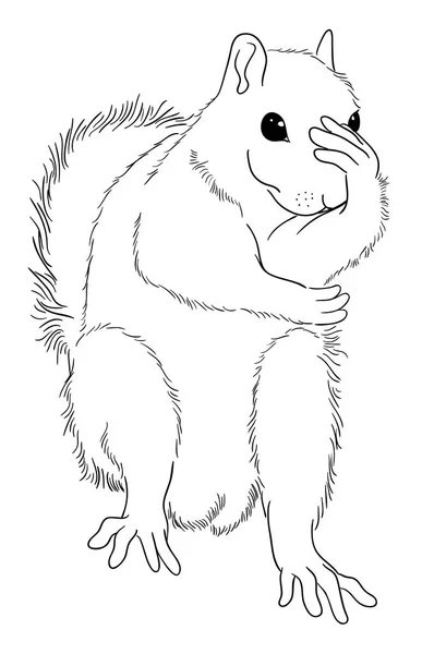 Wiewiórka Ładny Naturalny Kolor Dobre Wykorzystanie Symbolu Logo Ikona Sieci — Wektor stockowy
