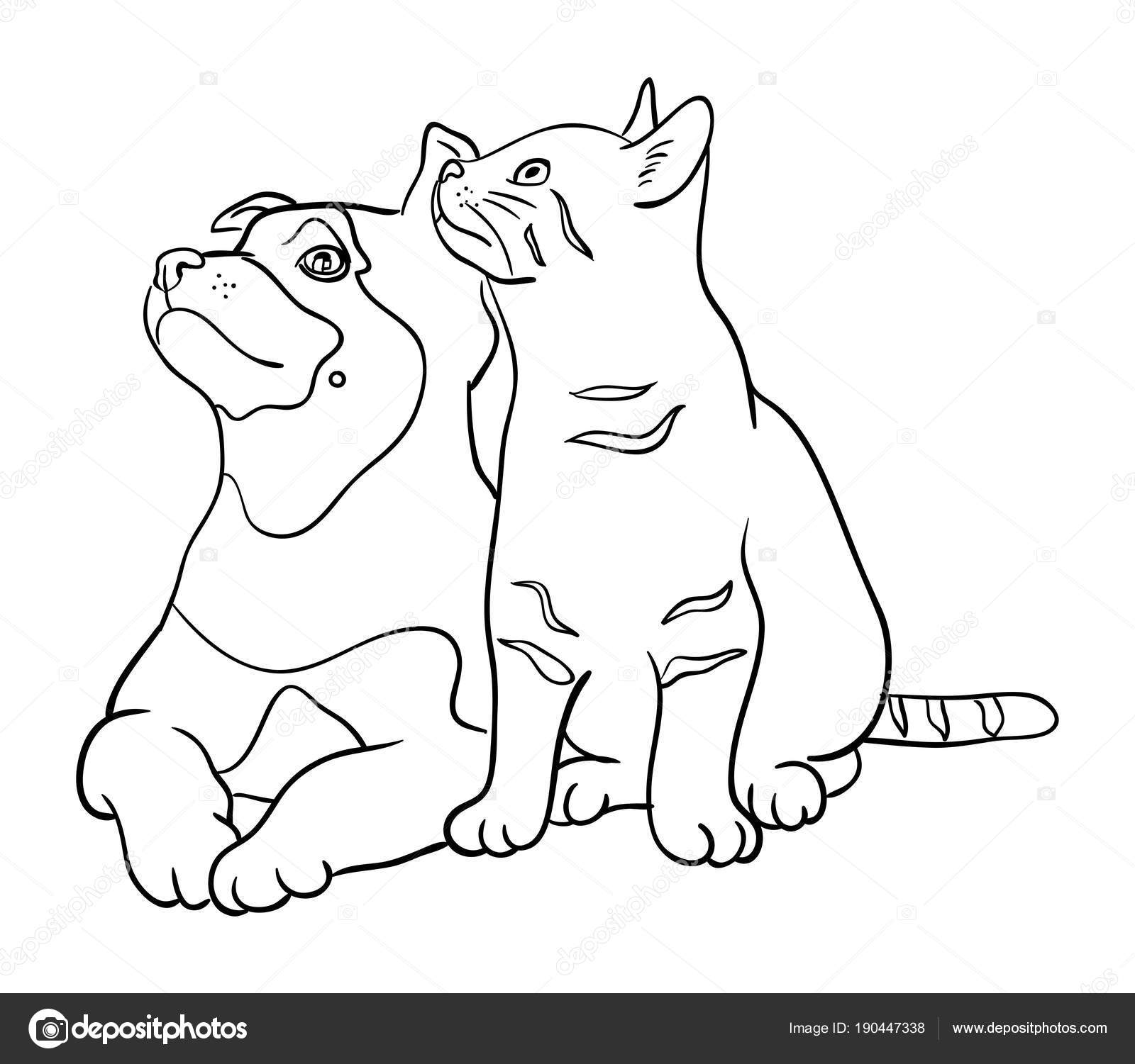 Chat Chien Dessin Trait Vecteur Illustration Bon Usage Pour
